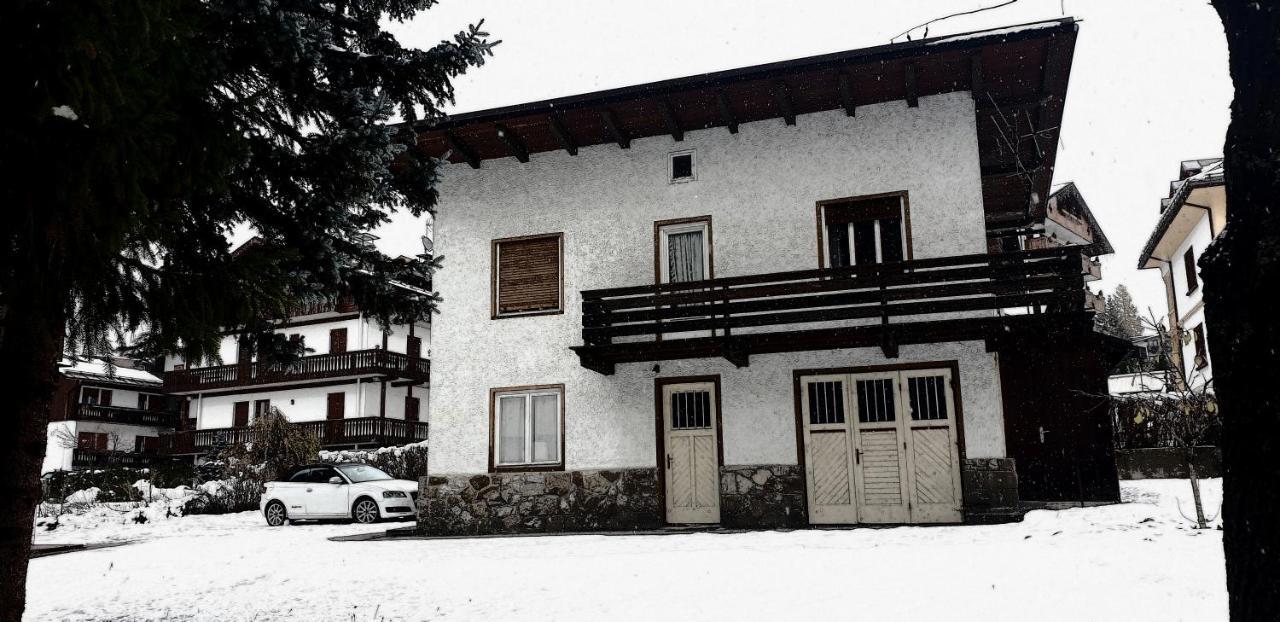 Luminoso Ed Accogliente, Centralissimo Appartamento Indipendente 科尔蒂纳丹佩佐 外观 照片